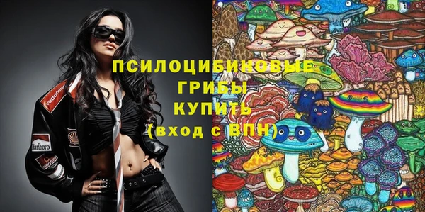 мяу мяу кристалл Богданович